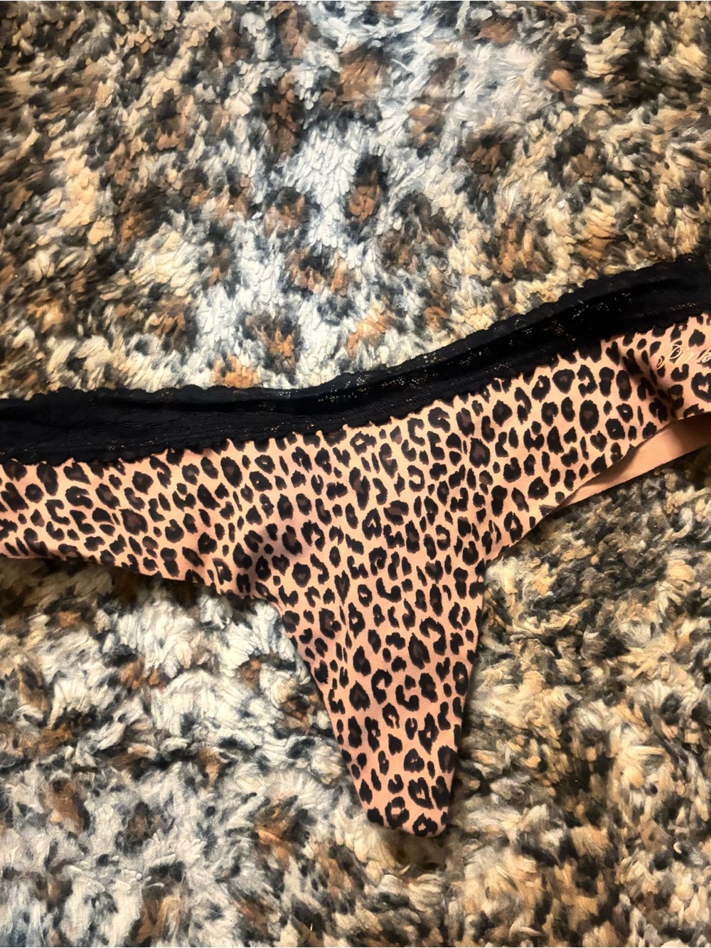 Leopard Print Thong Panty with Black Lace Trim